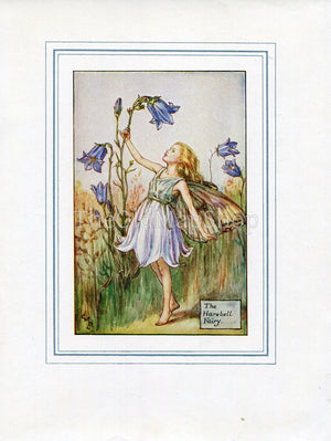 Harebell Flower Fairy 1930's Vintage Print Cicely Barker Summer Book Plate S032
