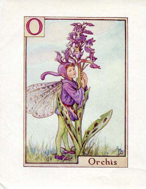 Orchis Flower Fairy Vintage Print c1940 Cicely Barker Alphabet Letter O Book Plate A033