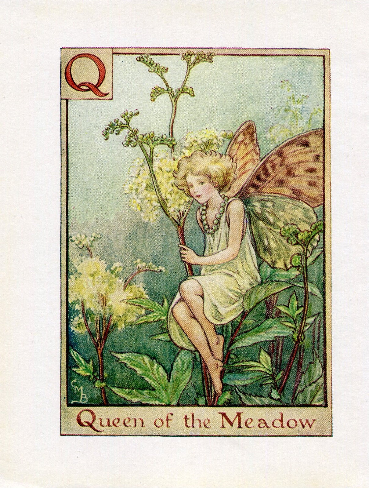 Queen of the Meadow Flower Fairy Vintage Print c1940 Cicely Barker Alphabet Letter Q Book Plate A040