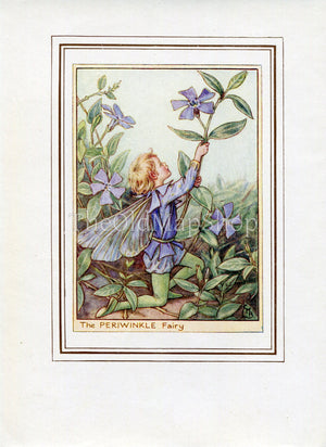 Periwinkle Flower Fairy 1950's Vintage Print Cicely Barker Garden Book Plate G013