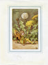 Dandelion Flower Fairy 1930's Vintage Print Cicely Barker Spring Book Plate SP029