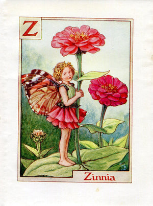 Zinnia Flower Fairy Vintage Print c1940 Cicely Barker Alphabet Letter Z Book Plate A058