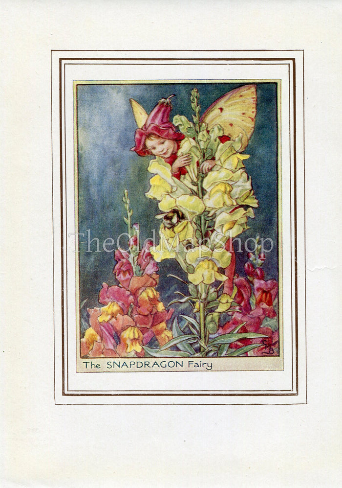 Snapdragon Flower Fairy 1950's Vintage Print Cicely Barker Garden Book Plate G044