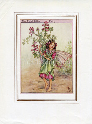Fumitory Flower Fairy 1950's Vintage Print Cicely Barker Wayside Book Plate W050