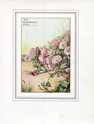 Convolvulus Flower Fairy 1930's Vintage Print Cicely Barker Summer Book Plate S013