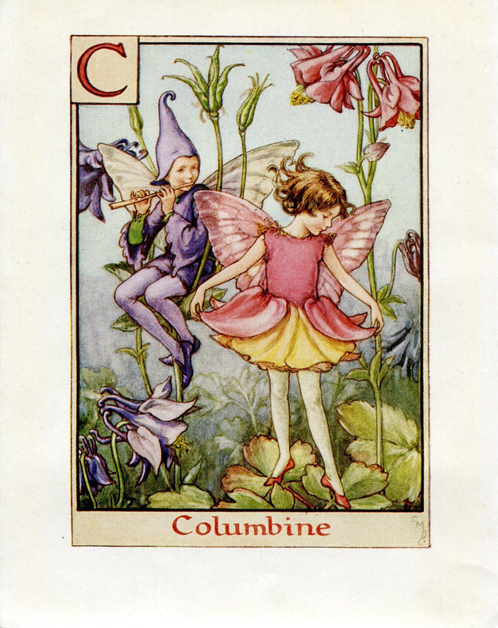Columbine Flower Fairy Vintage Print c1940 Cicely Barker Alphabet Letter C Book Plate A008