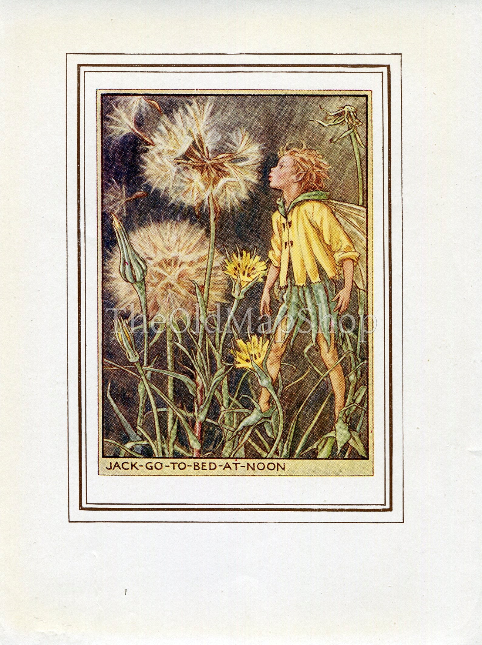 Jack-Go-To-Bed-At-Noon Flower Fairy 1950's Vintage Print Cicely Barker Wayside Book Plate W058