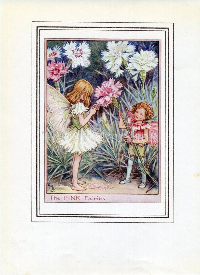 The Pink  Flower Fairy 1950's Vintage Print Cicely Barker Garden Book Plate G027