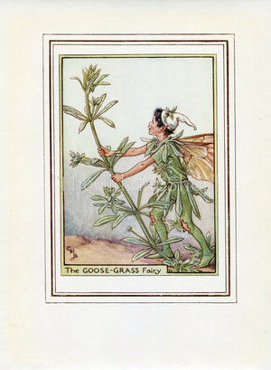 Goose-Grass Flower Fairy 1950's Vintage Print Cicely Barker Wayside Book Plate W013