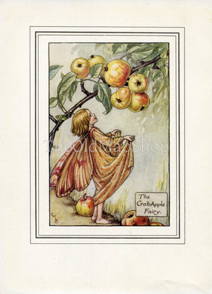 Crab-Apple Flower Fairy 1930's Vintage Print Cicely Barker Autumn Book Plate A036