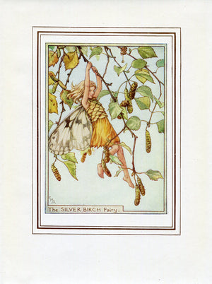 Silver Birch Flower Fairy 1950's Vintage Print Cicely Barker Trees Book Plate T054
