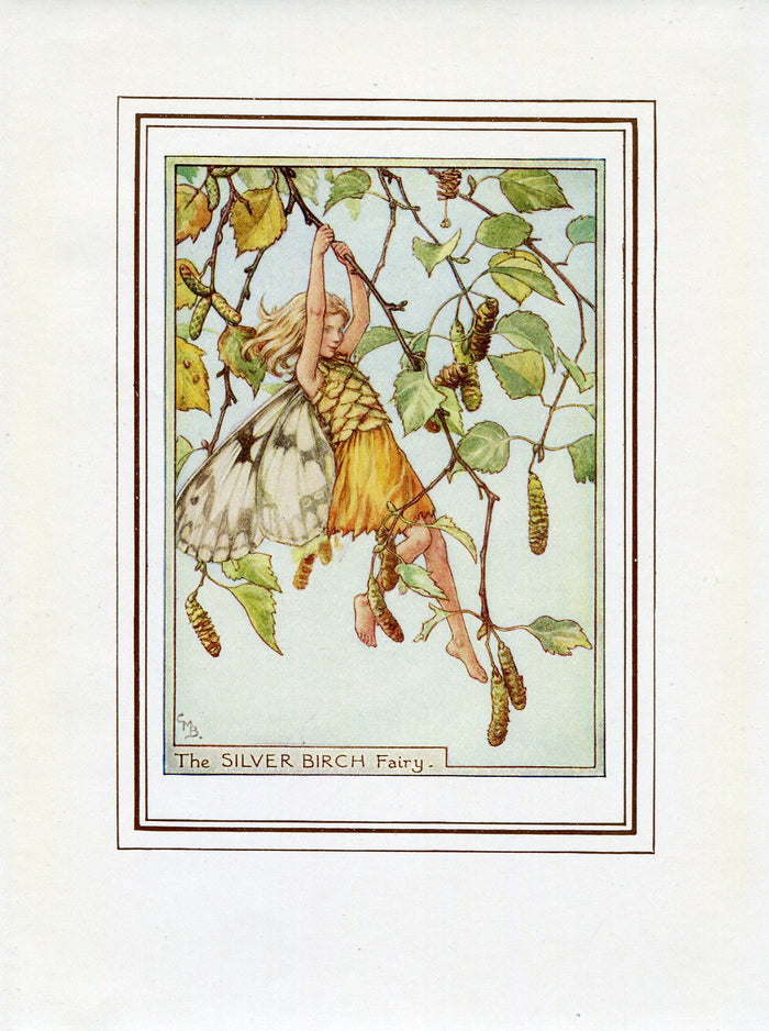Silver Birch Flower Fairy 1950's Vintage Print Cicely Barker Trees Book Plate T054