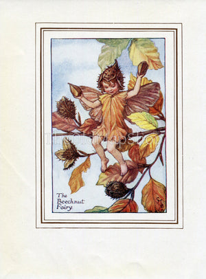 Beechnut Flower Fairy 1930's Vintage Print Cicely Barker Autumn Book Plate A041