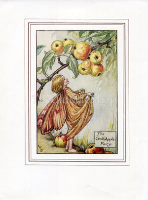 Crab-Apple Flower Fairy 1930's Vintage Print Cicely Barker Autumn Book Plate A037