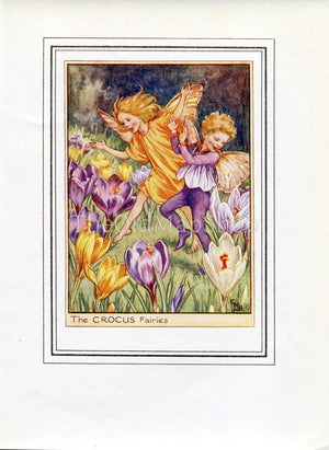 Crocus Flower Fairy 1950's Vintage Print Cicely Barker Garden Book Plate G005