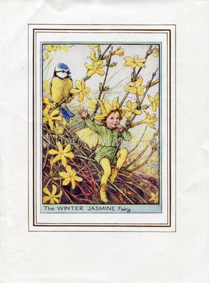 Winter Jasmine Flower Fairy 1950's Vintage Print Cicely Barker Garden Book Plate G060