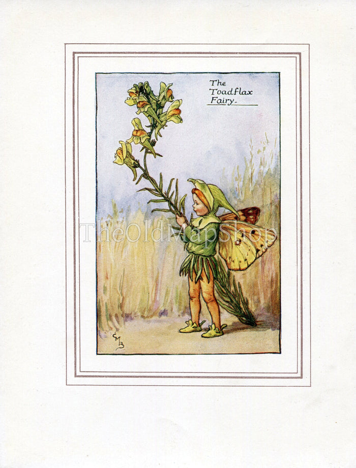 Toadflax Flower Fairy 1930's Vintage Print Cicely Barker Summer Book Plate S036