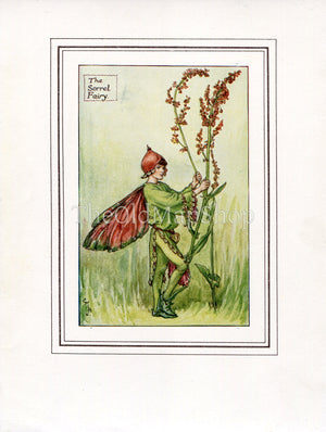 Sorrel Flower Fairy 1930's Vintage Print Cicely Barker Summer Book Plate S006