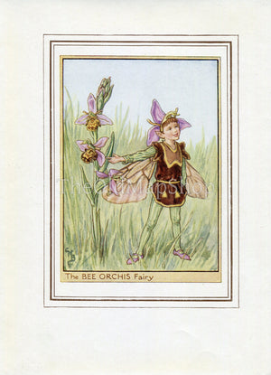 Bee Orchis Flower Fairy 1950's Vintage Print Cicely Barker Wayside Book Plate W027