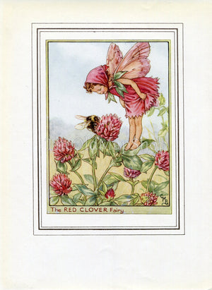 Red Clover Flower Fairy 1950's Vintage Print Cicely Barker Wayside Book Plate W030