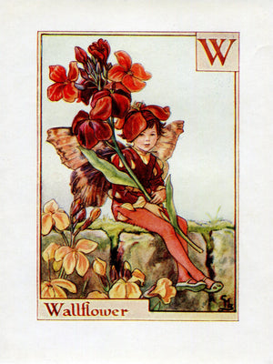 Wallflower Flower Fairy Vintage Print c1940 Cicely Barker Alphabet Letter W Book Plate A051