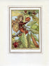 Sweet Chestnut Flower Fairy 1950's Vintage Print Cicely Barker Trees Book Plate T051