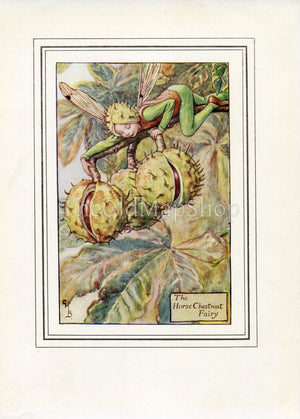 Horse Chestnut Flower Fairy 1930's Vintage Print Cicely Barker Autumn Book Plate A026