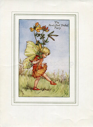 Bird's-Foot Trefoil Flower Fairy 1930's Vintage Print Cicely Barker Summer Book Plate S022