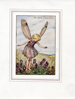 Wild Thyme Flower Fairy 1930's Vintage Print Cicely Barker Summer Book Plate S047