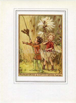 Rush-Grass & Cotton-Grass Flower Fairy 1950's Vintage Print Cicely Barker Wayside Book Plate W035