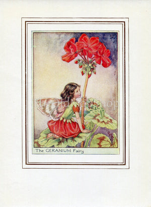 Geranium Flower Fairy 1950's Vintage Print Cicely Barker Garden Book Plate G029