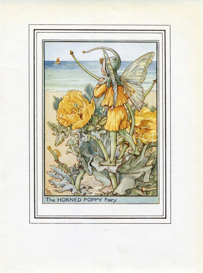 Horned Poppy Flower Fairy 1950's Vintage Print Cicely Barker Wayside Book Plate W054