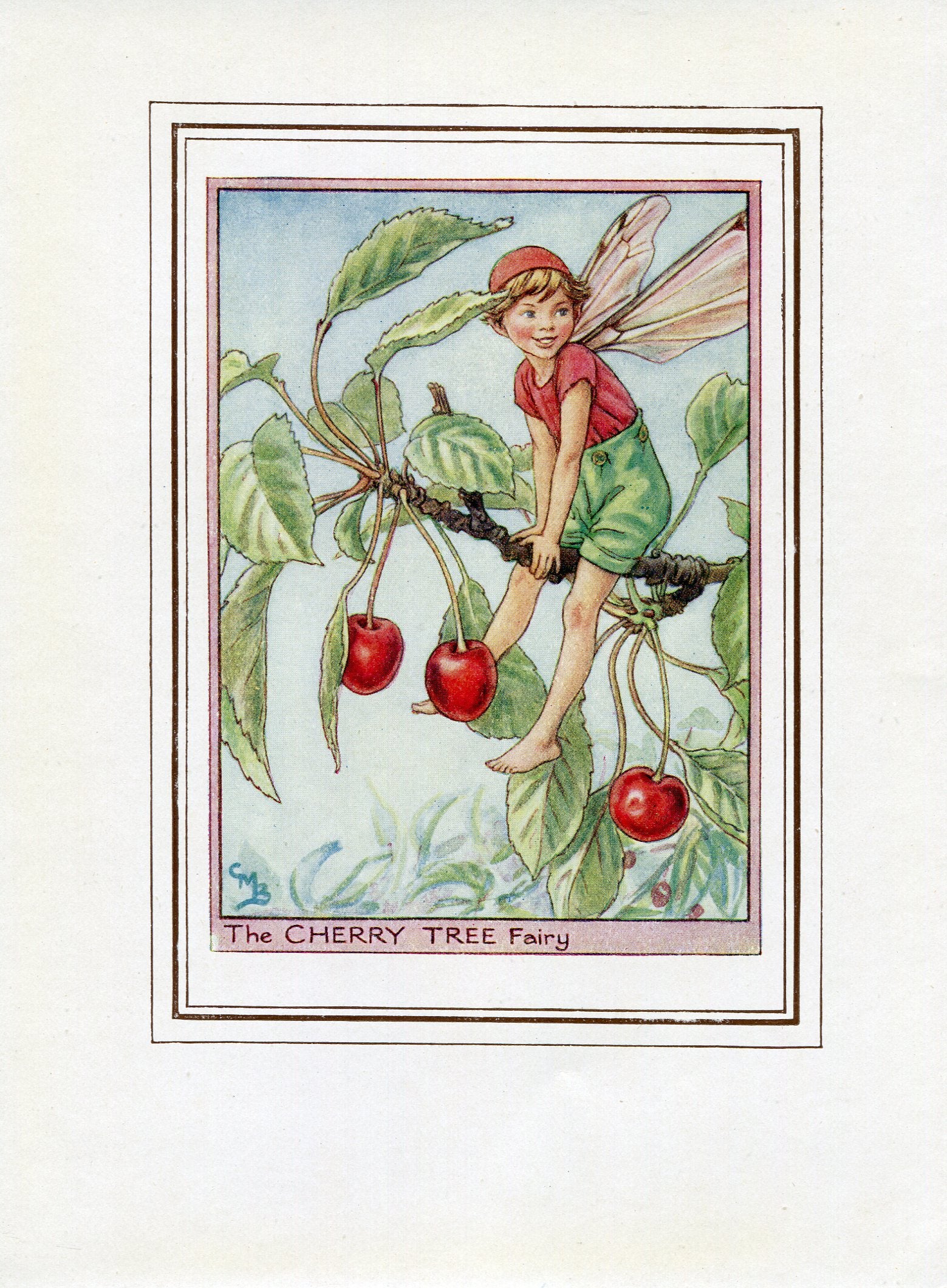 Cherry Tree Flower Fairy 1950's Vintage Print Cicely Barker Trees Book Plate T032