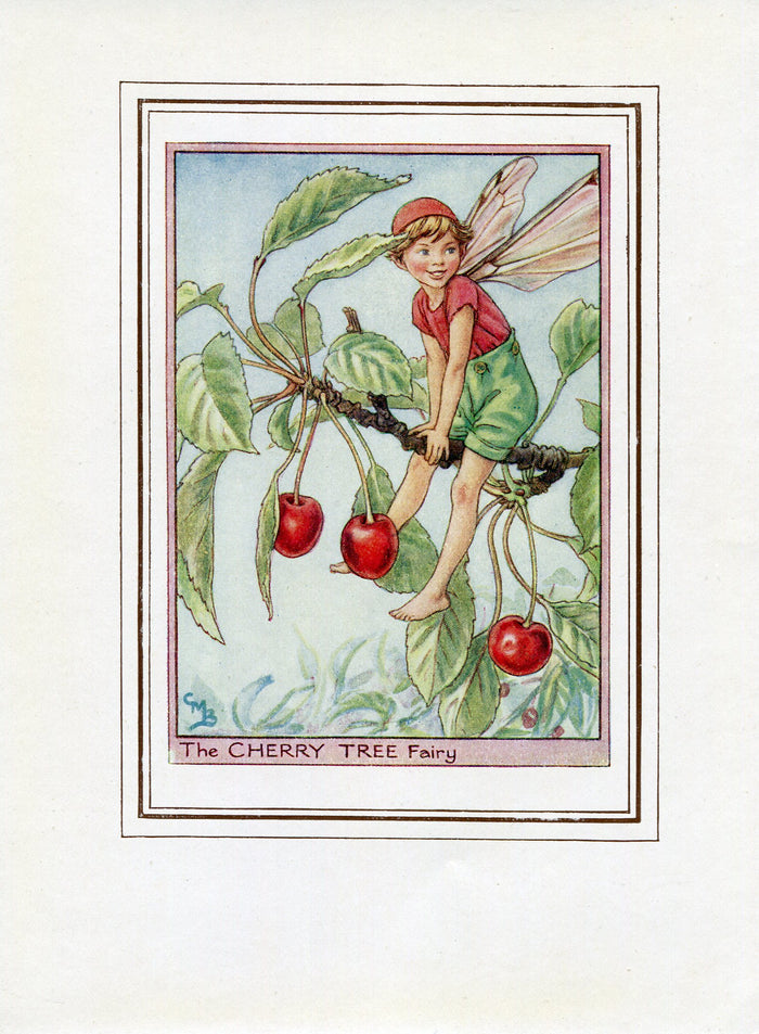 Cherry Tree Flower Fairy 1950's Vintage Print Cicely Barker Trees Book Plate T032