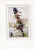 Privet Flower Fairy 1930's Vintage Print Cicely Barker Autumn Book Plate A045