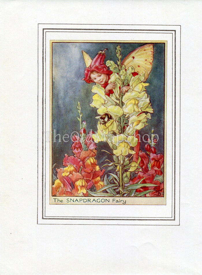 Snapdragon Flower Fairy 1950's Vintage Print Cicely Barker Garden Book Plate G045