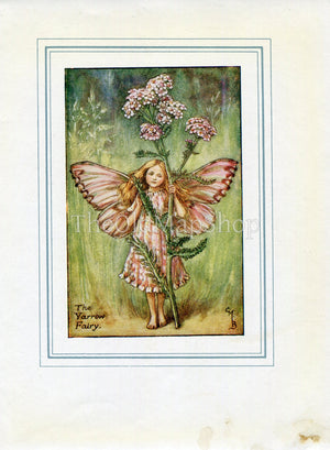 Yarrow Flower Fairy 1930's Vintage Print Cicely Barker Summer Book Plate S035