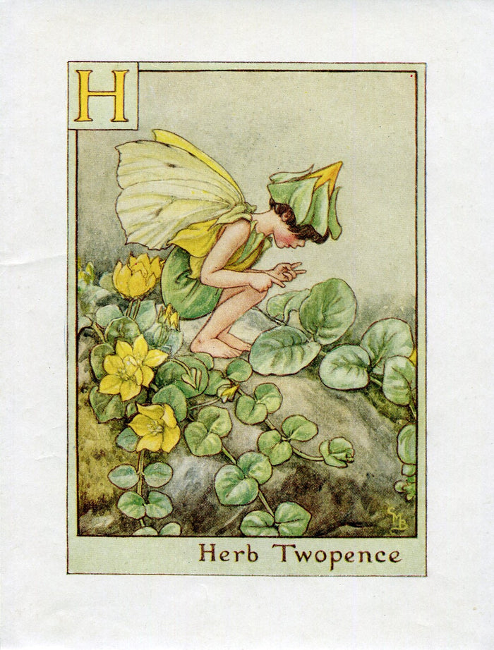 Herb Twopence Flower Fairy Vintage Print c1940 Cicely Barker Alphabet Letter H Book Plate A019