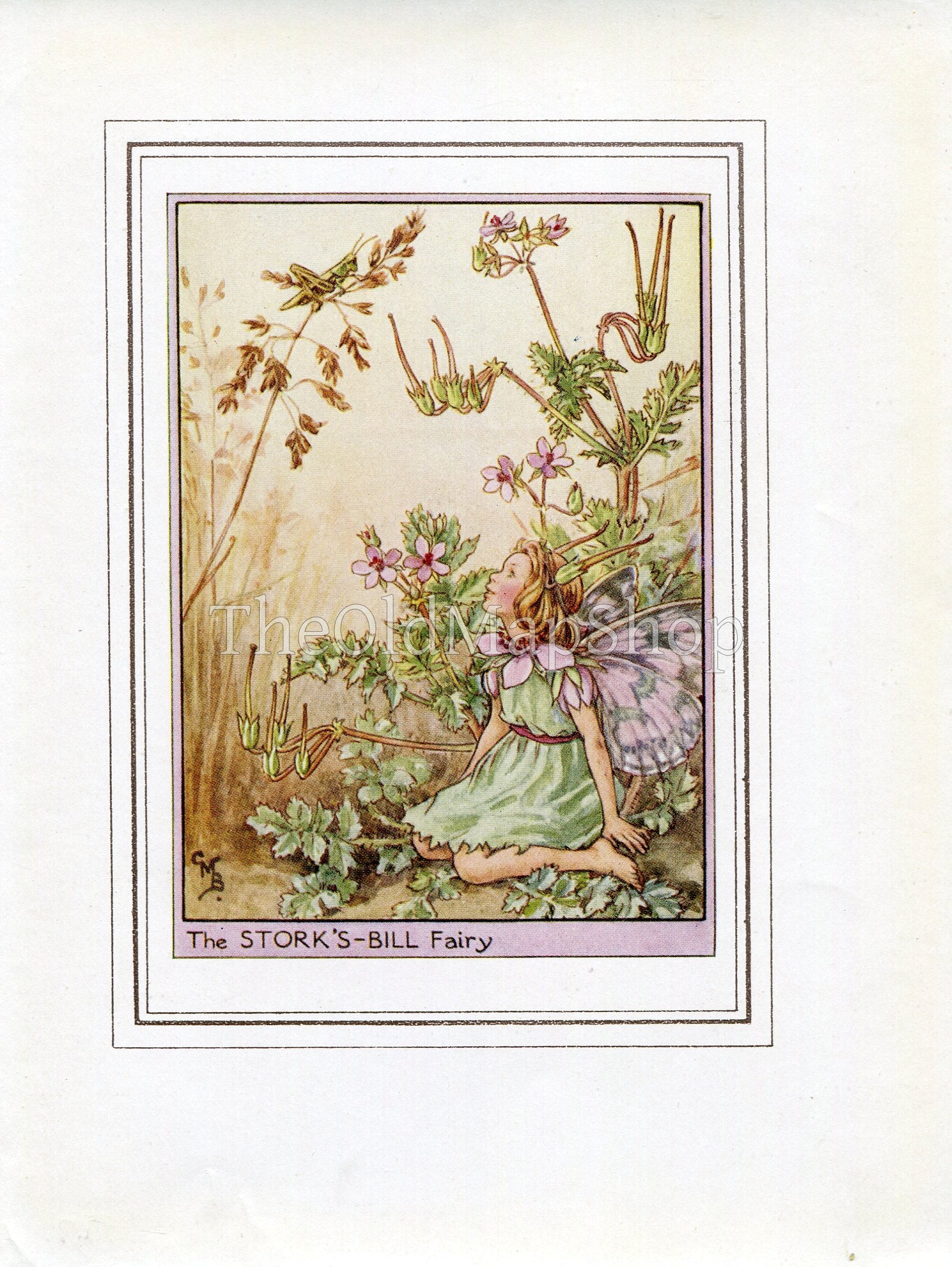 Stork's-Bill Flower Fairy 1950's Vintage Print Cicely Barker Wayside Book Plate W037