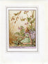 Stork's-Bill Flower Fairy 1950's Vintage Print Cicely Barker Wayside Book Plate W037