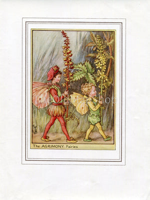 Agrimony Flower Fairy 1950's Vintage Print Cicely Barker Wayside Book Plate W065