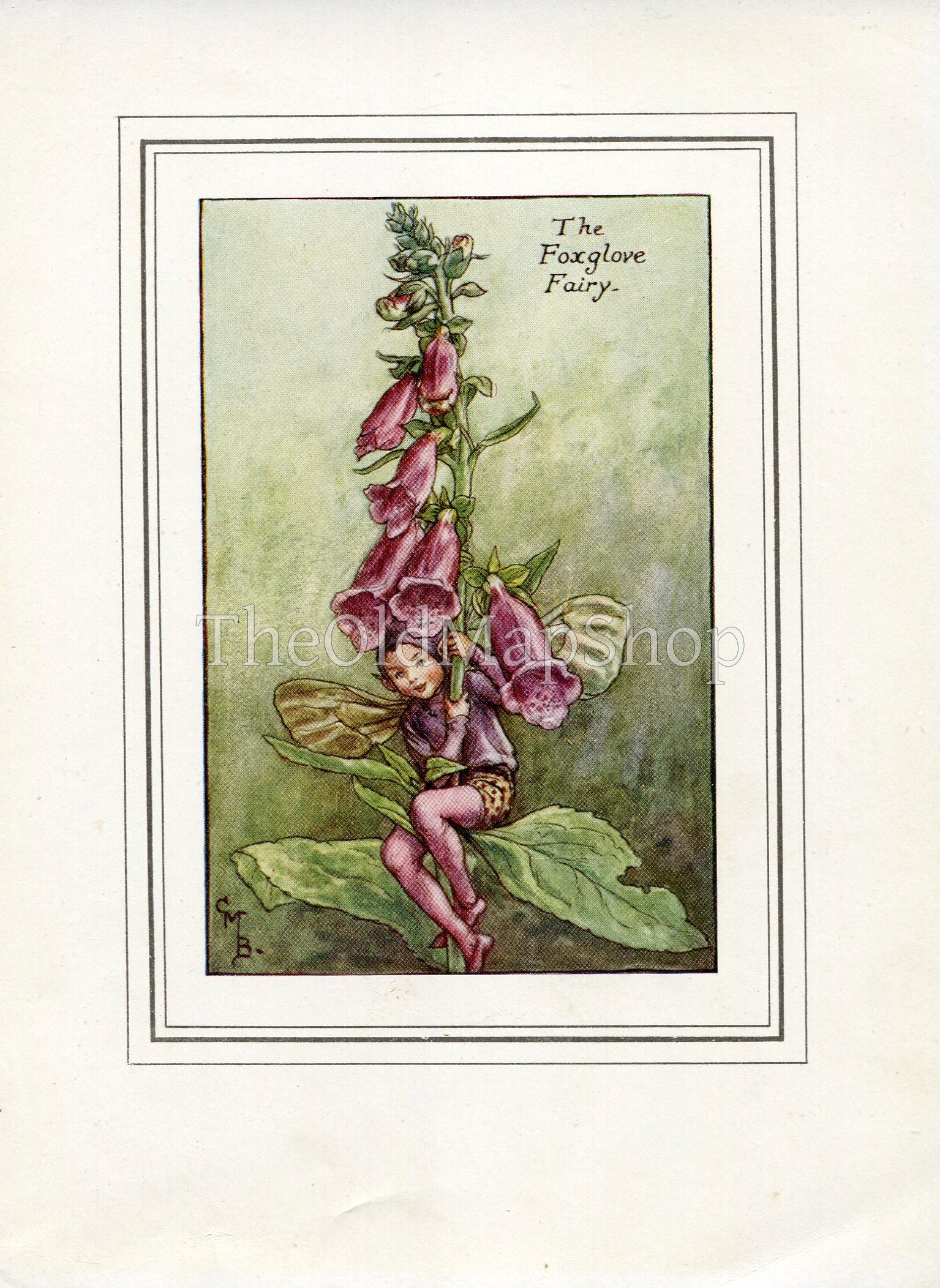 Foxglove Flower Fairy 1930's Vintage Print Cicely Barker Summer Book Plate S011