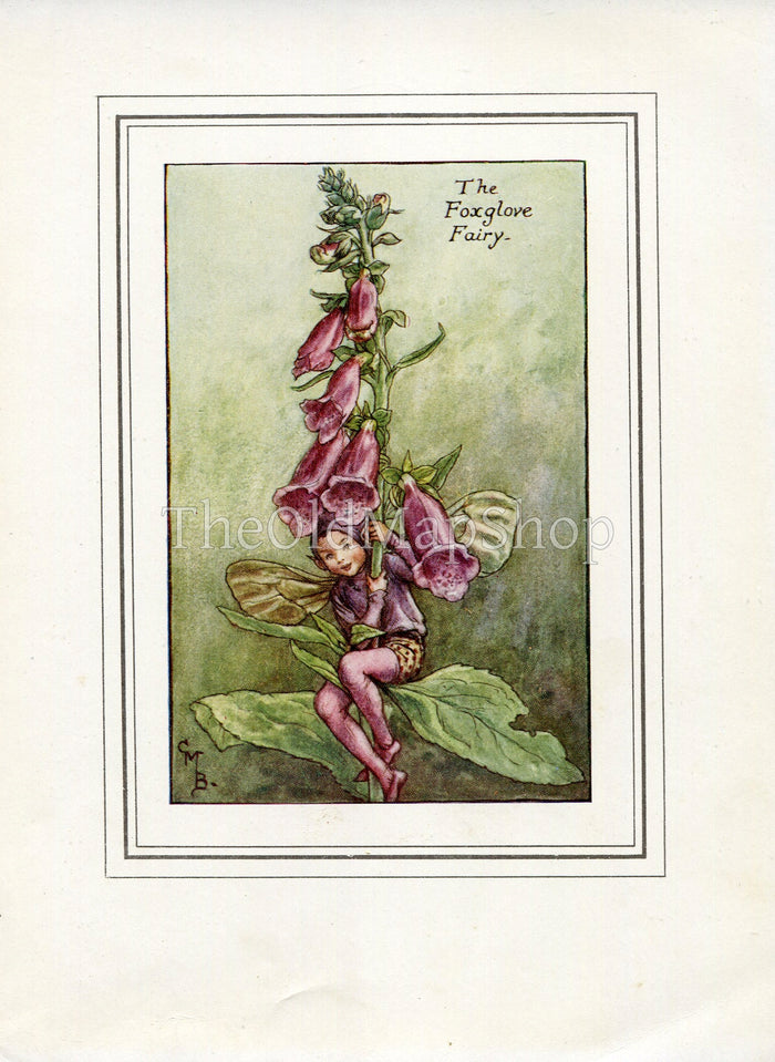 Foxglove Flower Fairy 1930's Vintage Print Cicely Barker Summer Book Plate S011