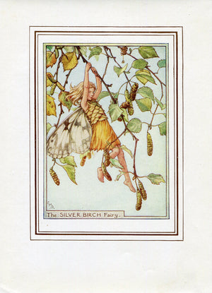Silver Birch Flower Fairy 1950's Vintage Print Cicely Barker Trees Book Plate T055