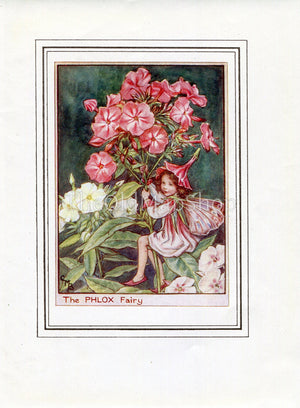 Phlox Flower Fairy 1950's Vintage Print Cicely Barker Garden Book Plate G042