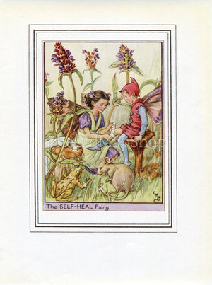 Self-Heal Flower Fairy 1950's Vintage Print Cicely Barker Wayside Book Plate W032