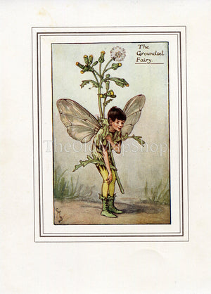 Groundsel Flower Fairy 1930's Vintage Print Cicely Barker Spring Book Plate SP019