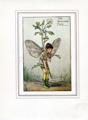 Groundsel Flower Fairy 1930's Vintage Print Cicely Barker Spring Book Plate SP017 - The Old Map Shop