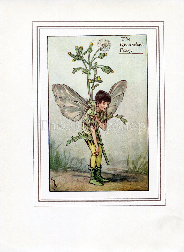 Groundsel Flower Fairy 1930's Vintage Print Cicely Barker Spring Book Plate SP017
