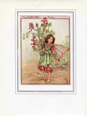 Fumitory Flower Fairy 1950's Vintage Print Cicely Barker Wayside Book Plate W051